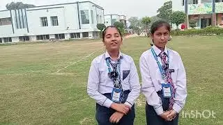 Language enrichment activity 