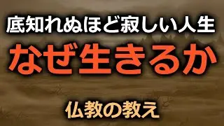 底知れないほど寂しいところが人生。どうして生きるのか【仏教の教え】