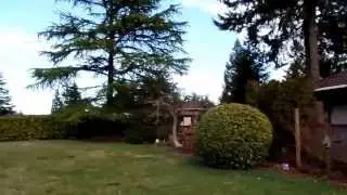 Samsung WB350F Test Video
