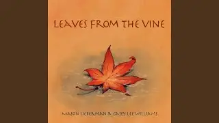 Leaves from the Vine