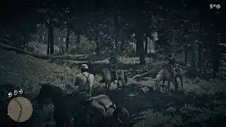 Red Dead Redemption 2 [4K] | 134 | Blackwater с Джоном Мартсоном