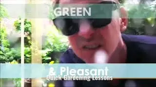 Episode 1 - Growing Geranium cuttings