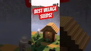 The Best Minecraft Village Seeds!