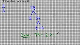 Primtalsfaktorisering 1