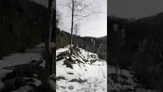 Mtirala national park #batumi #travel #love # #music #snow #nature #viral #georgia #trending #shorts