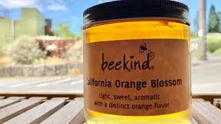 California Orange Blossom Honey Tasting