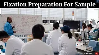 Fixation Preparation For Sample | Step to Step Guide of Histological Study