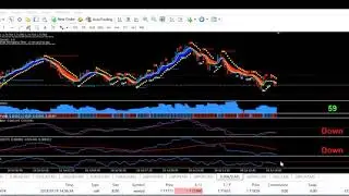 $650  Live Trade - Toshko Raychev -  Forex Wealth Strategy Review