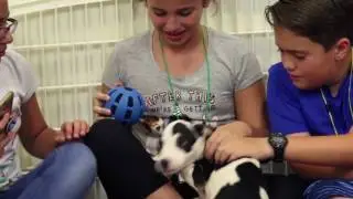 Birthday Parties at the Humane Society