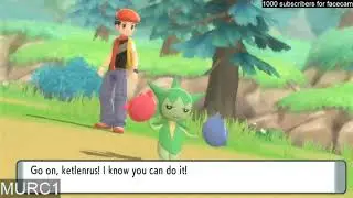 Budew Finally Evolved