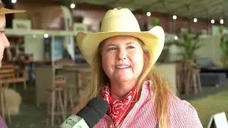 FEIRA AGROPECU&Aacute;RIA NO INTERIOR DE SP CELEBRA GADO DE CORTE DE ELITE; CONFIRA