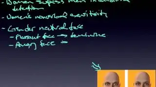 module 36.2 gender and emotional expression.mp4