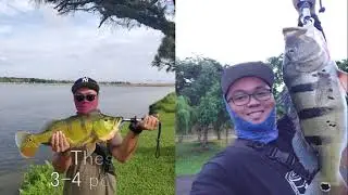 Rower's Bay Park Fishing Experience