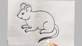 How to Draw a Rat 🐀 | Easy Rat Drawing | Simple Rat Drawing 