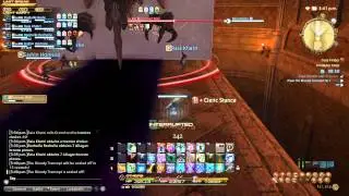 FFXIV Demon Wall. Please Be Careful (White Mage perspective)