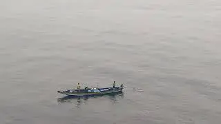 It's time to hunt for fish #sea #fish