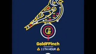 GoldFFinch - 11th Hour