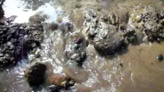 Earthen Dam Break and Knickpoint Migration