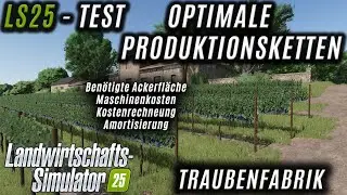LS25 Test - Optimale Produktionsketten - Traubenfabrik