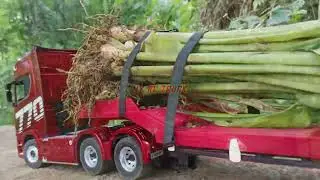 RC Scania Truck Downhill Challenge Carrying Heavy Turmeric Tree | Huina 1501 Extreme Control