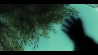 Cubn - Wait