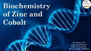 Biochemistry of Zinc and Cobalt