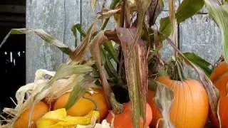 Travel BC - Fall in British Columbia, Canada
