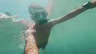 Turtle beach , Hawaii snorkeling | GoPro Hero 12