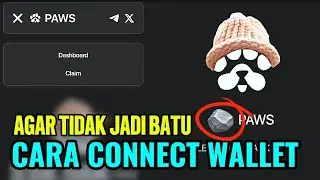 CARA SETTING CONNECT WALLET TON SOLANA AIRDROP PAWS #paws #walletpaws #airdrop #airdroptelegram