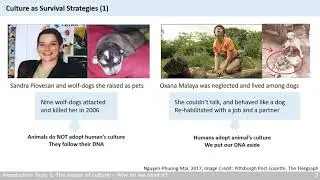 Introduction. Topic 1 of 3. Nature of Culture.Cross-cultural communication