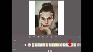 How to set text highlight color?