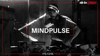 Mindpulse - Drum&bass - France