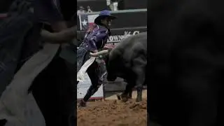 Ultimate Bullfighting