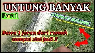 SENSASI MANCING IKAN PATILAN || GAK PAKAI UMPAN DIM, CACING LAUT, PUNPUN, LENGKI GAK BAWA IKAN LAUK