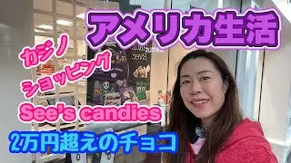 【アメリカ生活🇺🇸】カジノ、ショッピング、アメリカで有名なシーズキャンディーズ