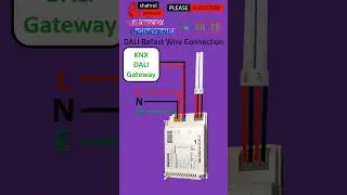 KNX System DALI Ballast Wire Connection | KNX Facts #electrical #knx #homeautomation #dali