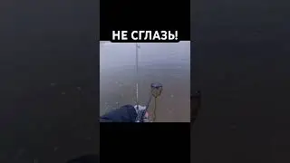 НЕ СГЛАЗЬ! #спиннинг #рыбалка #fishing #spinning #рыба #трофей