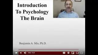 IntroPsych Hemispheres