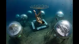 Live streaming di OceanReefGroup - Nemo's Garden 2025 Pilot in Noli (Italy)