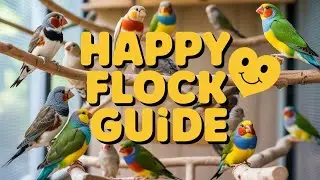 How to Keep Multiple Finches Together Without Fighting (2026 Colony Guide)