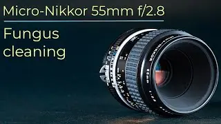 Fungus cleaning : Micro-Nikkor 55 : Lens repair