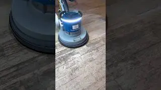 Шлифовка паркета #укладчикпаркета #сделайсам #лайфхаки #fyp