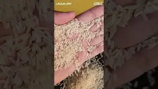 #teamhooray #rice #basmatirice #riceexport #pakistanirice