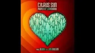 Citrus Sun - What Color Is Love