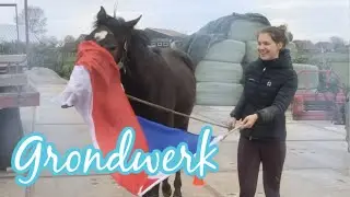 Trainen van een jong paard! | LHS Vlogger Marana