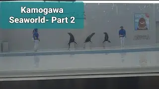 KAMOGAWA SEA WORLD PARTS 2 Beluga Show 😍