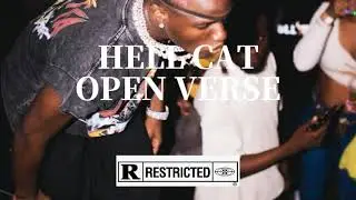 RUGER - HELL CAT (OPEN VERSE) HOOK + INSTRUMENTAL #RUGER #rugertypebeat