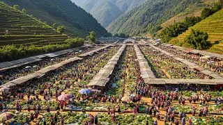 Tet market in Bac Ha, Lao Cai - Many customers flock here to buy items for Tet