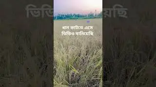 Ab Tere Dil Mein To #Hindi #short #video #viral