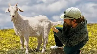 RandomFPV Interviews: Troy Naquin AKA: CheFPV!!! **FPV LIVESTREAM**
